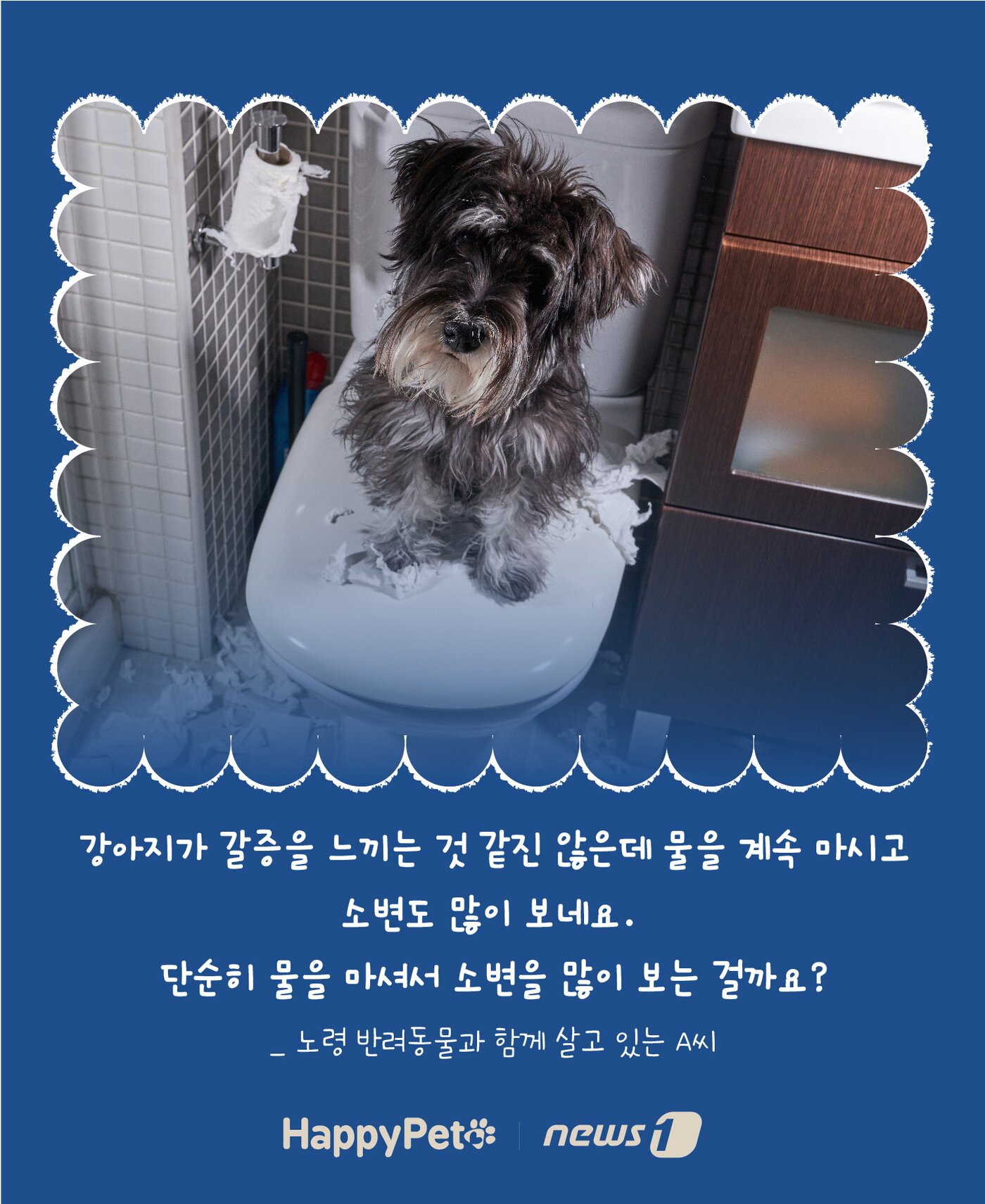 본문 이미지 - 반려동물 다음다뇨 펫카드