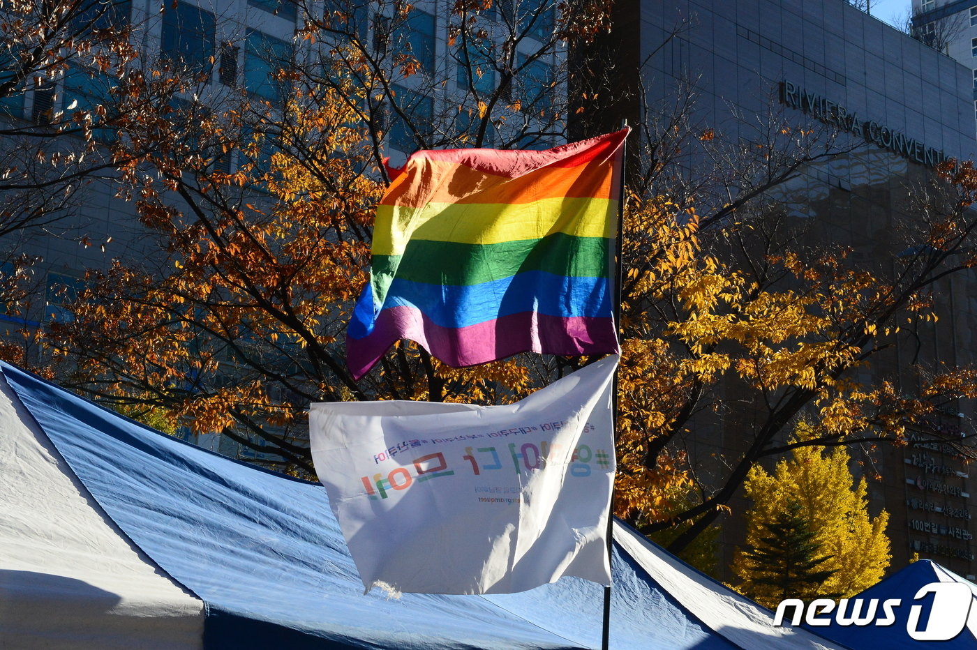 본문 이미지 - 25일 창원시 성산구 중앙대로에서 열린 퀴어문화축제에서 성소수자를 상징하는 무지개 깃발이 휘날리고 있다. 2023.11.25 ⓒ 뉴스1 박민석 기자