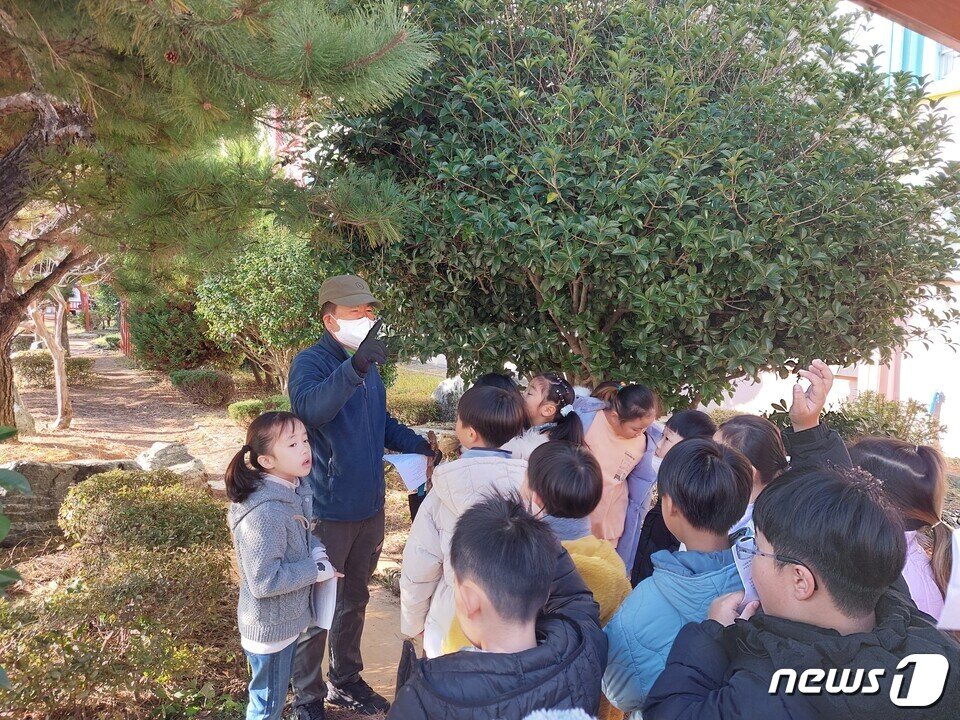 본문 이미지 - 여수중학교(교장 나미경)- 20일 학생들이 학교 정원의 푸조나무, 은목서 등을 살피며 숲 해설사에게 식물에 얽힌 재미있는 이야기를 듣고 있다.(전남교육청 제공)/뉴스1 