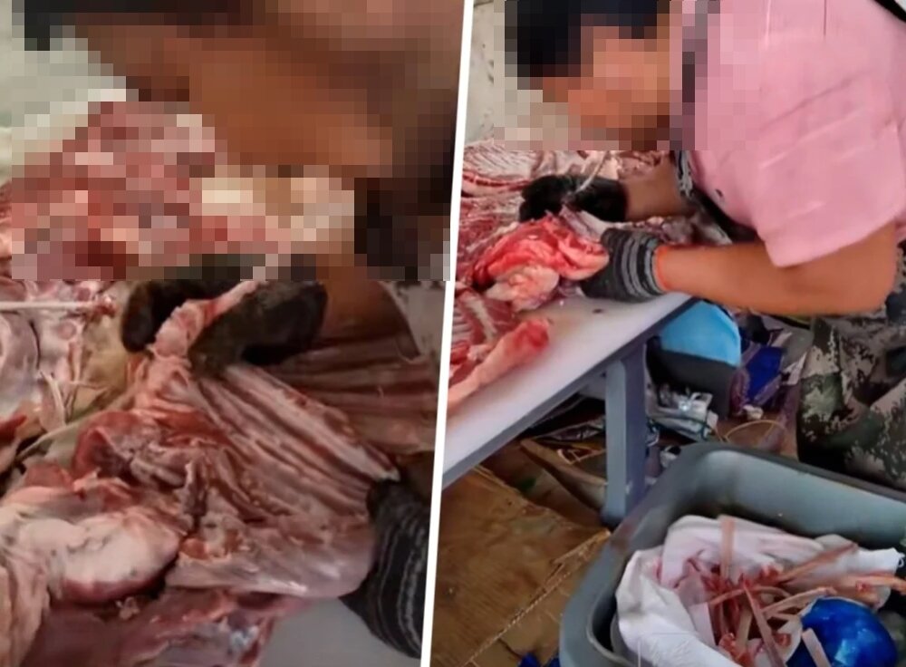 본문 이미지 - 입으로 직접 양고기를 손질하는 한 정육점의 영상이 소셜미디어상에서 확산돼 충격을 주고 있다. 사우스차이나모닝포스트(SCMP) 갈무리