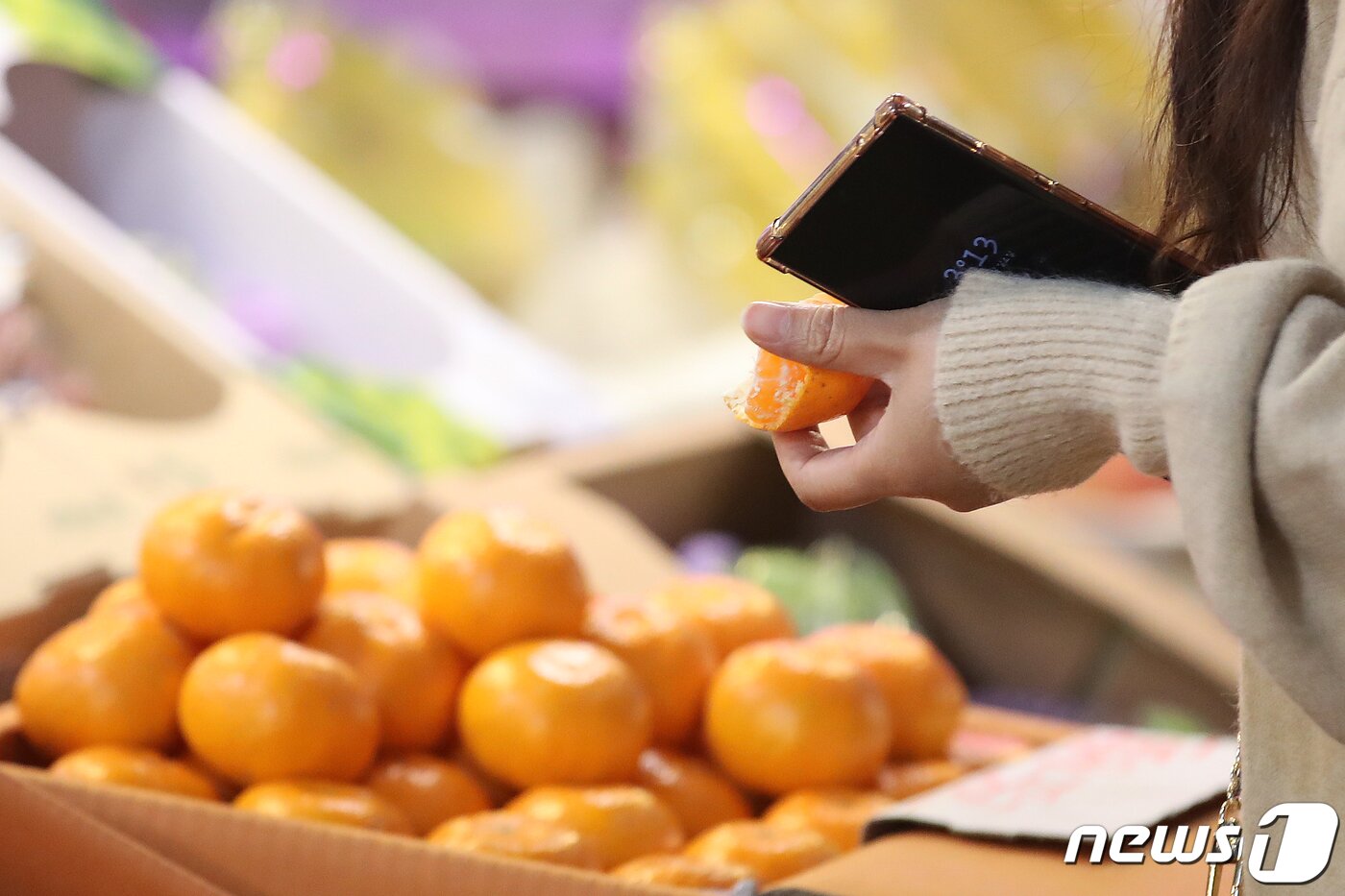 본문 이미지 - 서울 마포구 농수산물 시장을 찾은 시민이 귤을 맛보고 있다. /뉴스1 ⓒ News1 이승배 기자