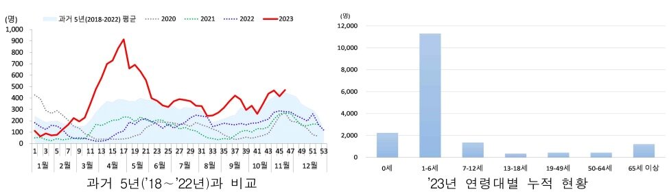 본문 이미지 - 리노바이러스 입원환자 발생 누적 현황. &#40;질병청 제공&#41;