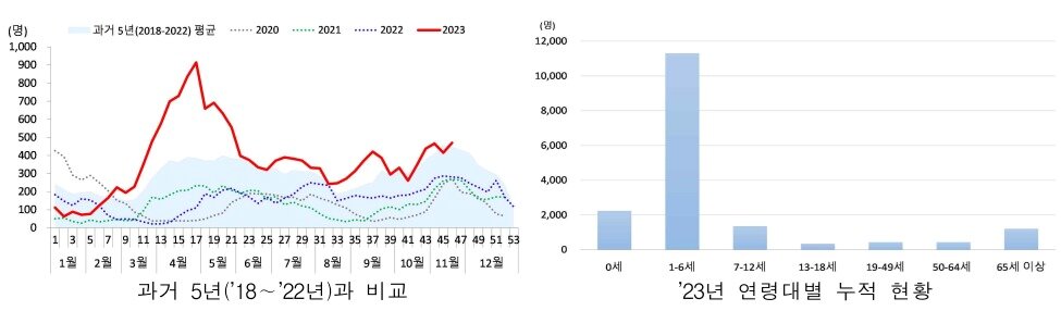 리노바이러스 입원환자 발생 누적 현황. &#40;질병청 제공&#41;