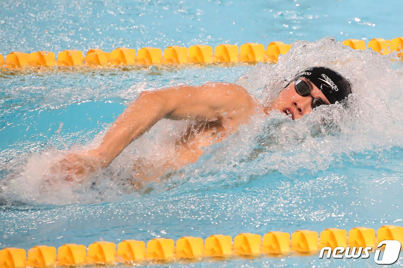 본문 이미지 - 27일 오후 경북 김천실내수영장에서 열린 '2024 수영(경영) 국가대표 선발대회' 남자 일반부 자유형 200ｍ 결승에 출전한 황선우(강원)가 역영하고 있다. 황선우가 1분45초68의 기록으로 1위를 차지했다. 2024.11.27/뉴스1 ⓒ News1 공정식 기자
