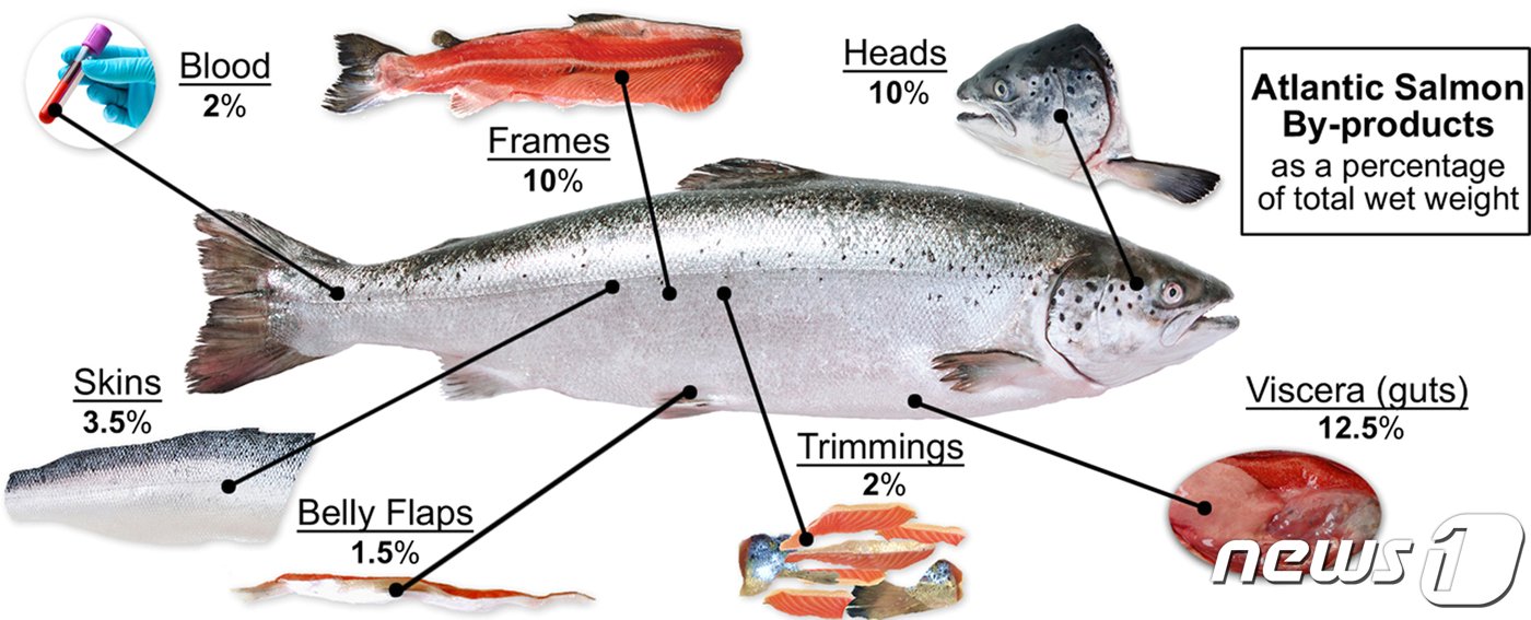 대서양 연어로부터 발생하는 부산물&#40;출처:Marine Policy, Stevens et al., 2018&#41;