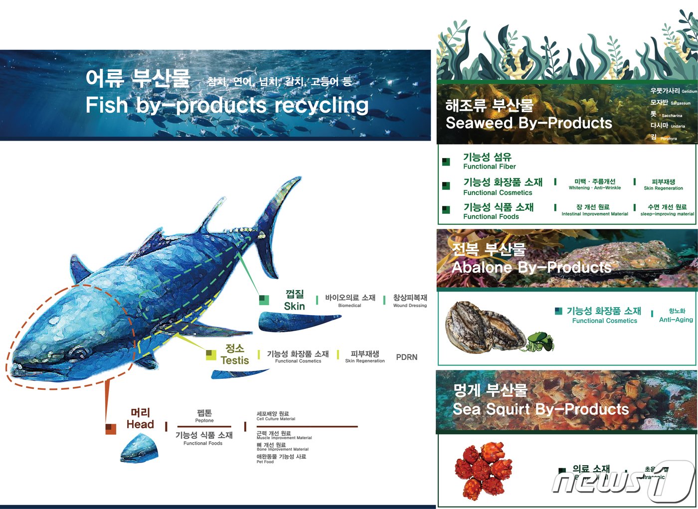 본문 이미지 - 국내 수산부산물 활용 연구&#40;출처:한국해양과학기술원&#41;