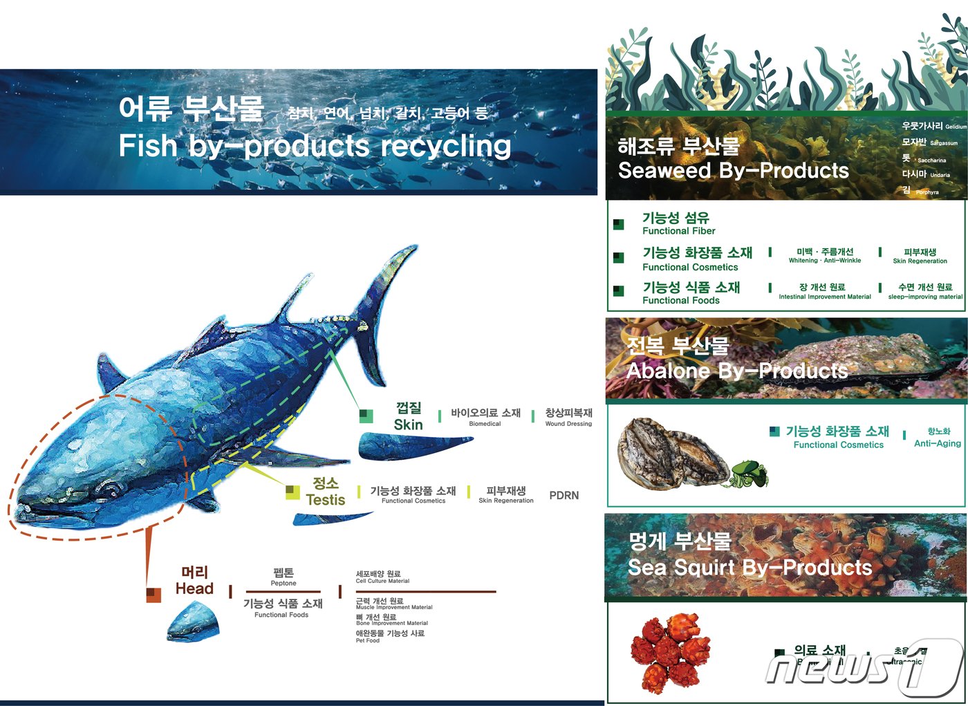 국내 수산부산물 활용 연구&#40;출처:한국해양과학기술원&#41;