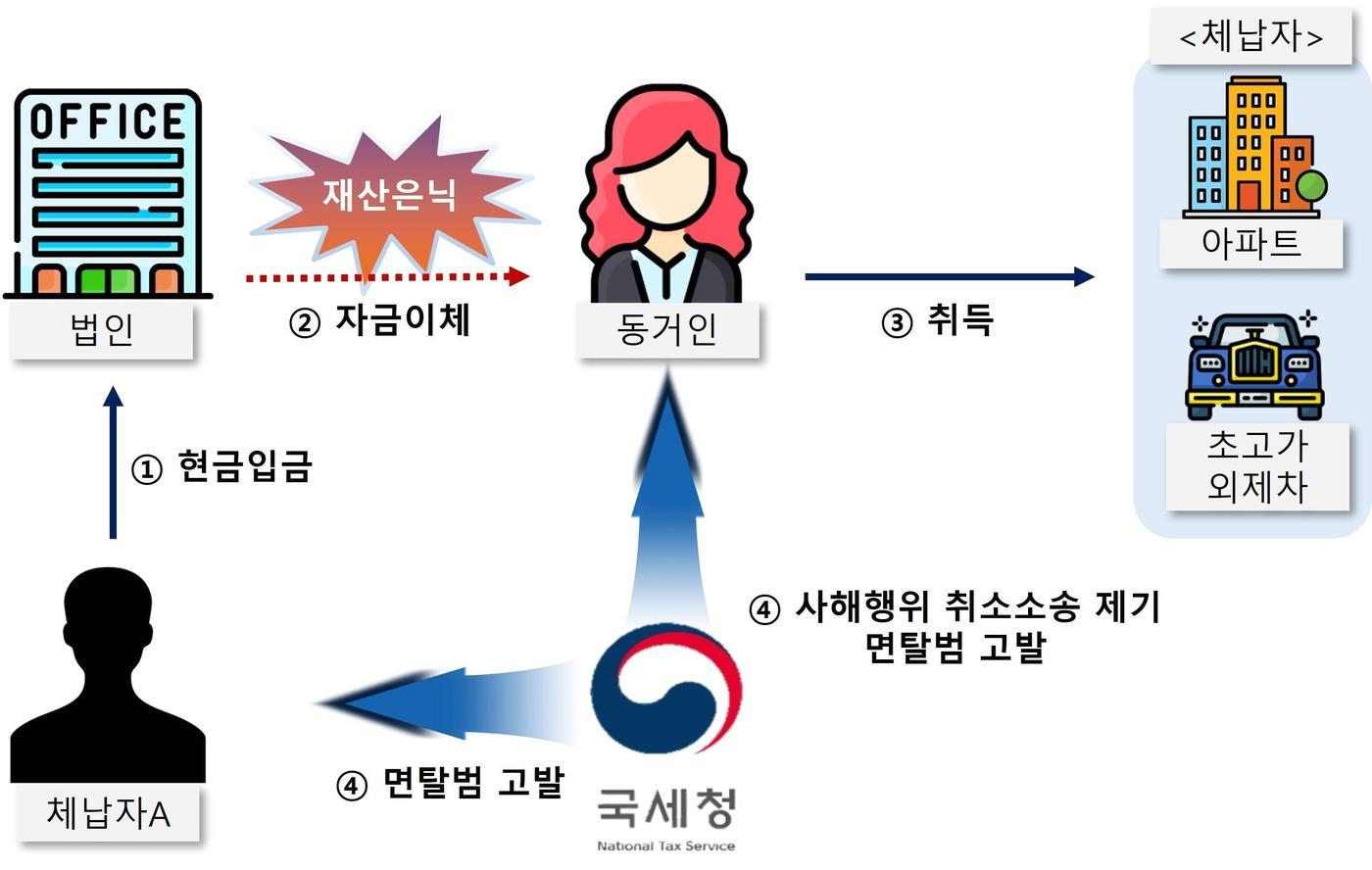 동거인 명의로 재산을 빼돌린 체납자 사례&#40;국세청 제공&#41;. 2023.11.28/뉴스1