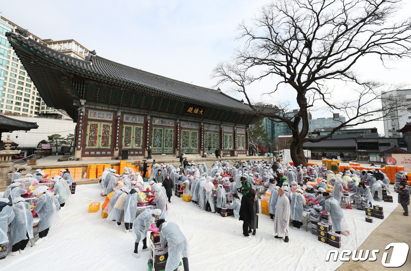 (서울=뉴스1) 김민지 기자 = 29일 오전 서울 종로구 조계사 대웅전 앞마당에서 열린 이웃과 함께 따뜻한 조계사 김장 나눔전에서 신도들이 김장을 하고 있다. 2023.11.29/ …