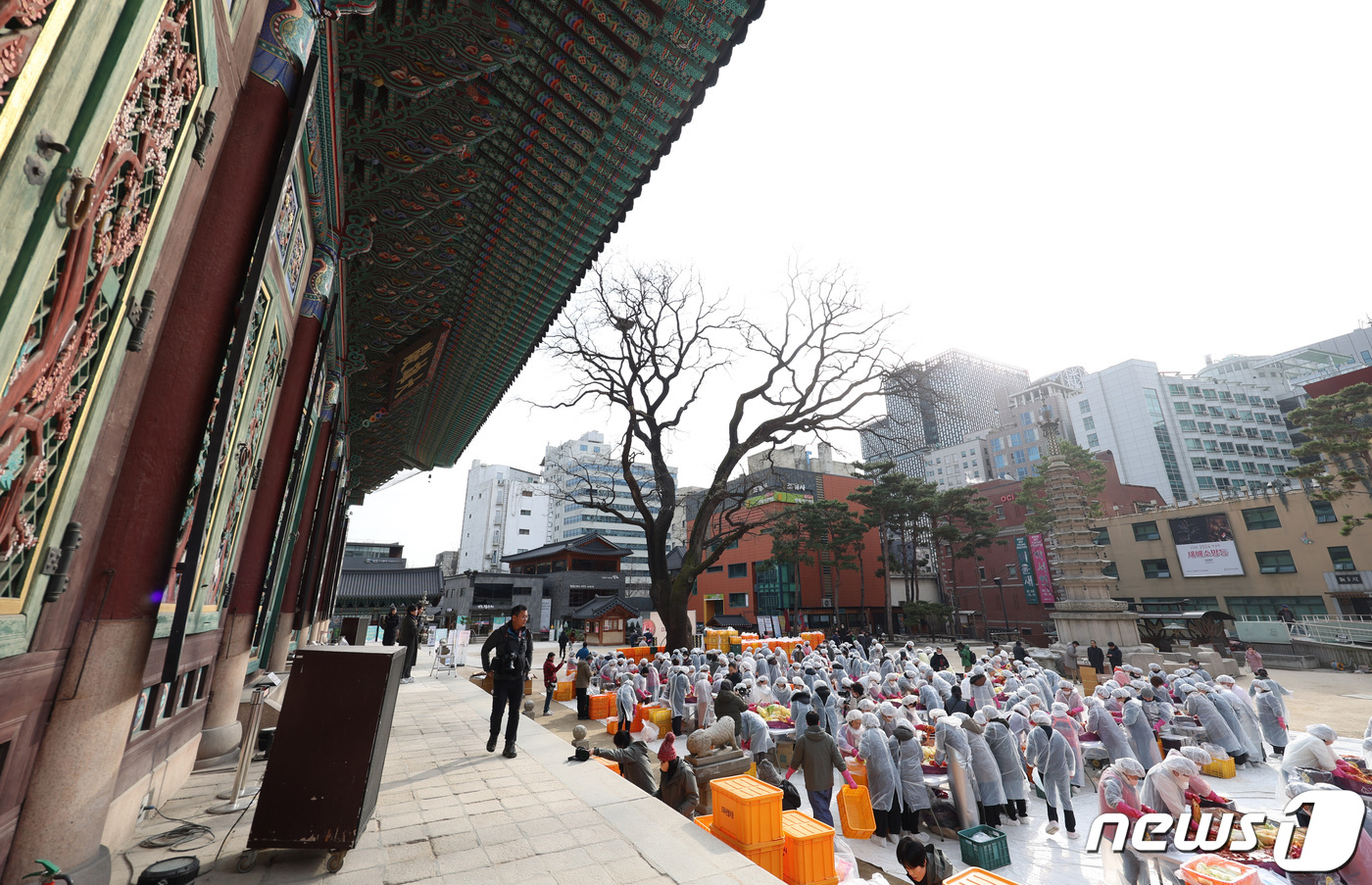 (서울=뉴스1) 김민지 기자 = 29일 오전 서울 종로구 조계사 대웅전 앞마당에서 열린 이웃과 함께 따뜻한 조계사 김장 나눔전에서 신도들이 김장을 하고 있다. 2023.11.29/ …