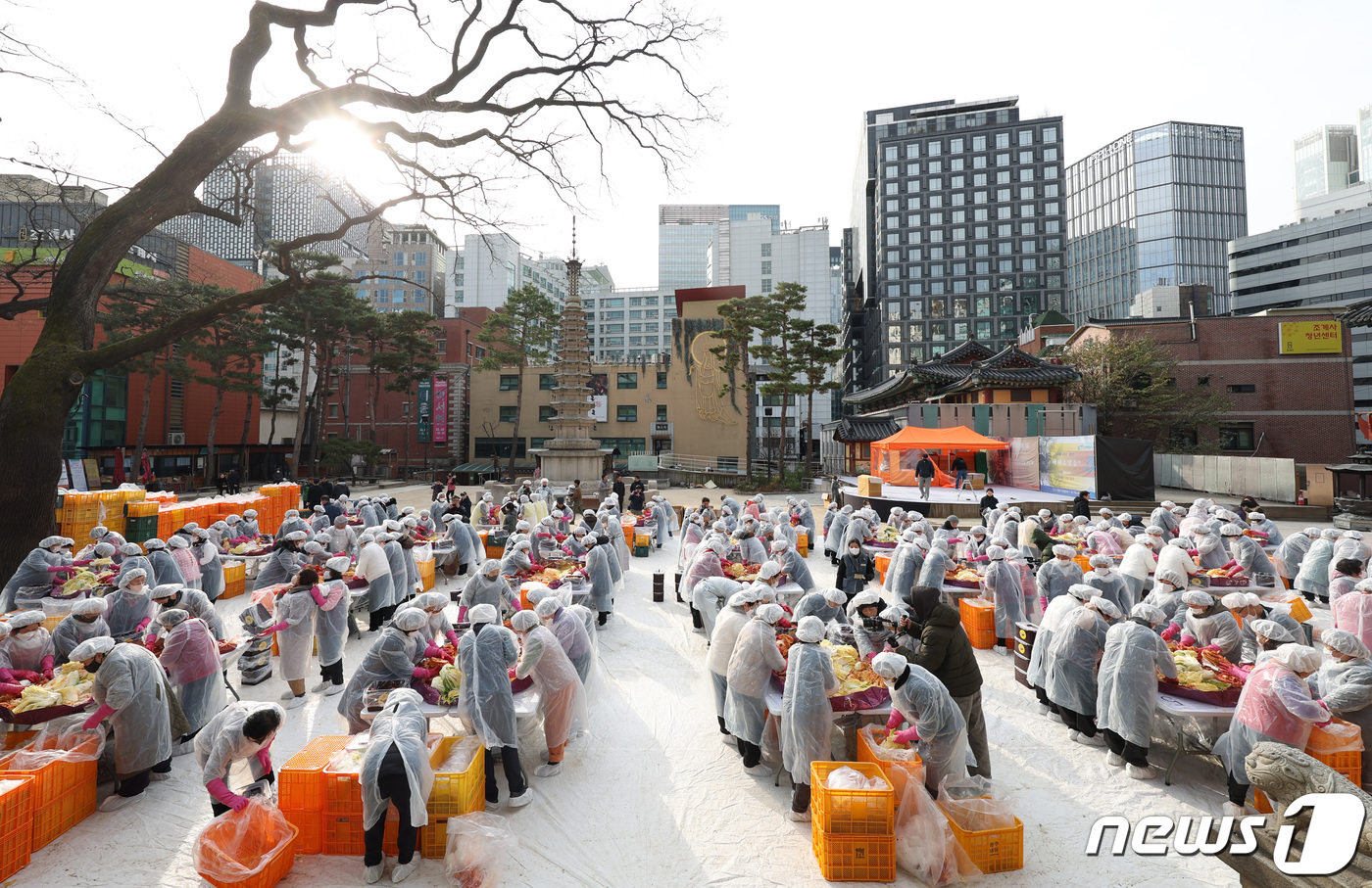 (서울=뉴스1) 김민지 기자 = 29일 오전 서울 종로구 조계사 대웅전 앞마당에서 열린 이웃과 함께 따뜻한 조계사 김장 나눔전에서 신도들이 김장을 하고 있다. 2023.11.29/ …