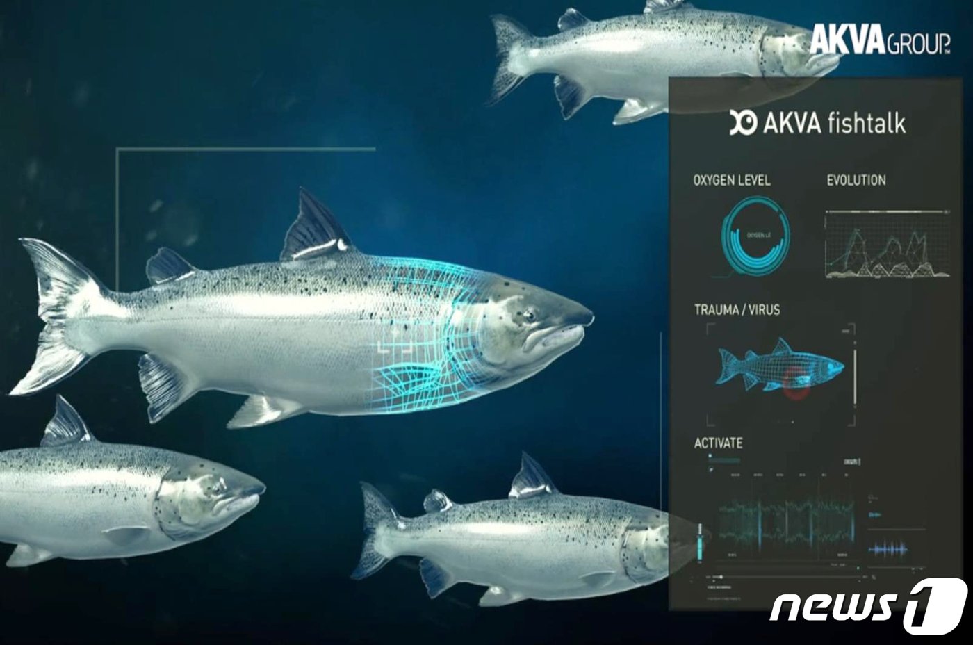 본문 이미지 - 아크바그룹&#40;AKVA group&#41;의 디지털 플랫폼&#40;출처: 아크바그룹 누리집 갈무리&#41;