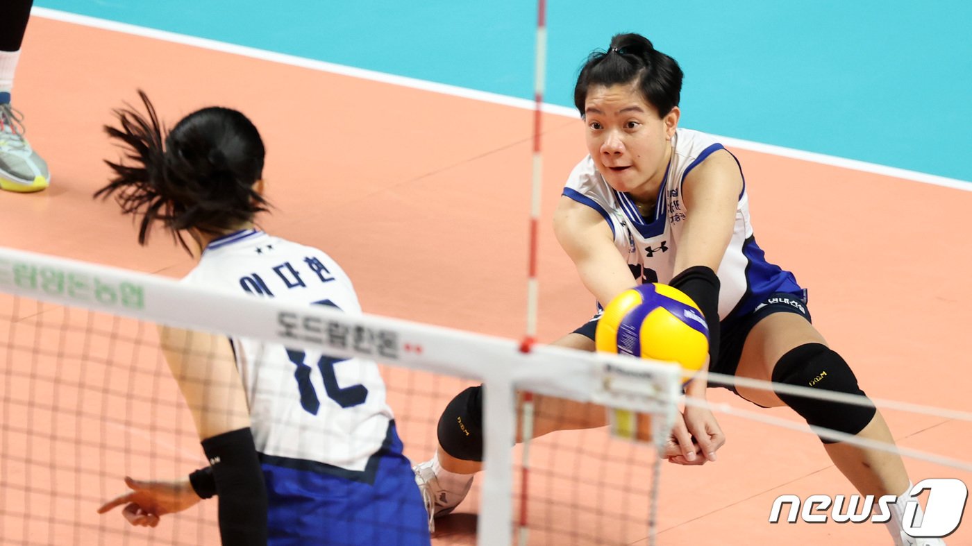 본문 이미지 - 현대건설 위파위가 3일 서울 중구 장충체육관에서 열린 여자프로배구 2023-2024 도드람 V리그 GS칼텍스와 현대건설의 경기에서 리시브를 하고 있다. 2023.11.3/뉴스1 ⓒ News1 김성진 기자