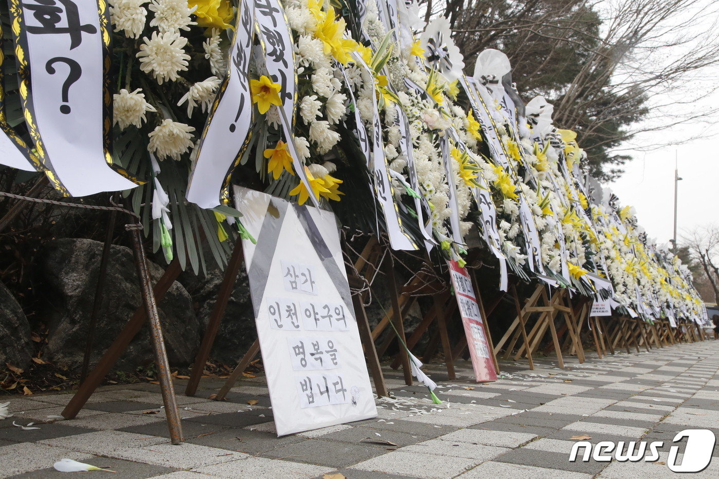 본문 이미지 -  29일 인천 SSG랜더스필드 앞에 깔린 근조 화환. ⓒ News1