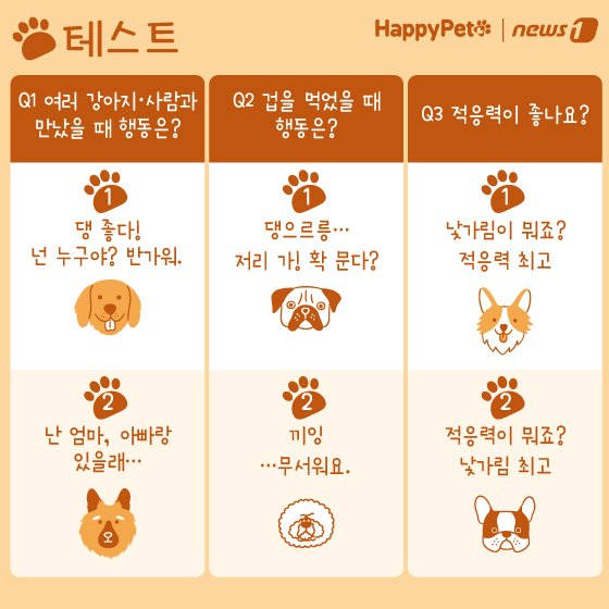 본문 이미지 - 반려견 성격 유형 펫카드