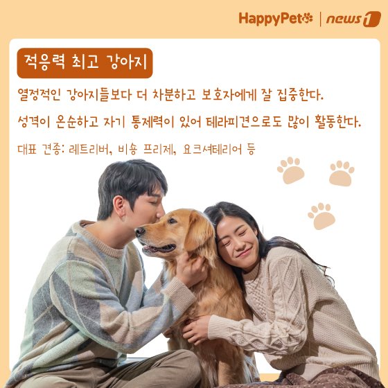 본문 이미지 - 반려견 성격 유형 펫카드