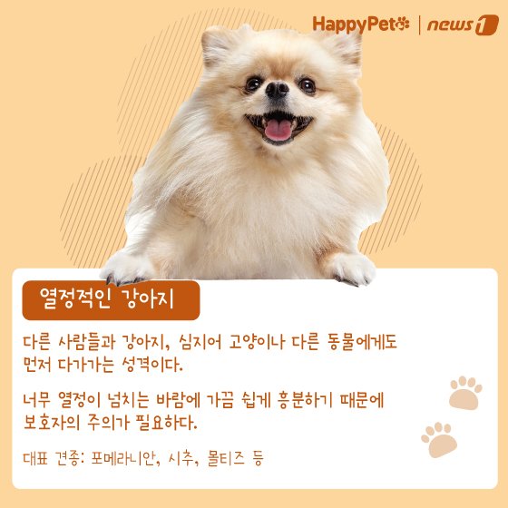 본문 이미지 - 반려견 성격 유형 펫카드