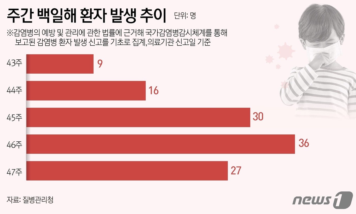 ⓒ News1 김초희 디자이너