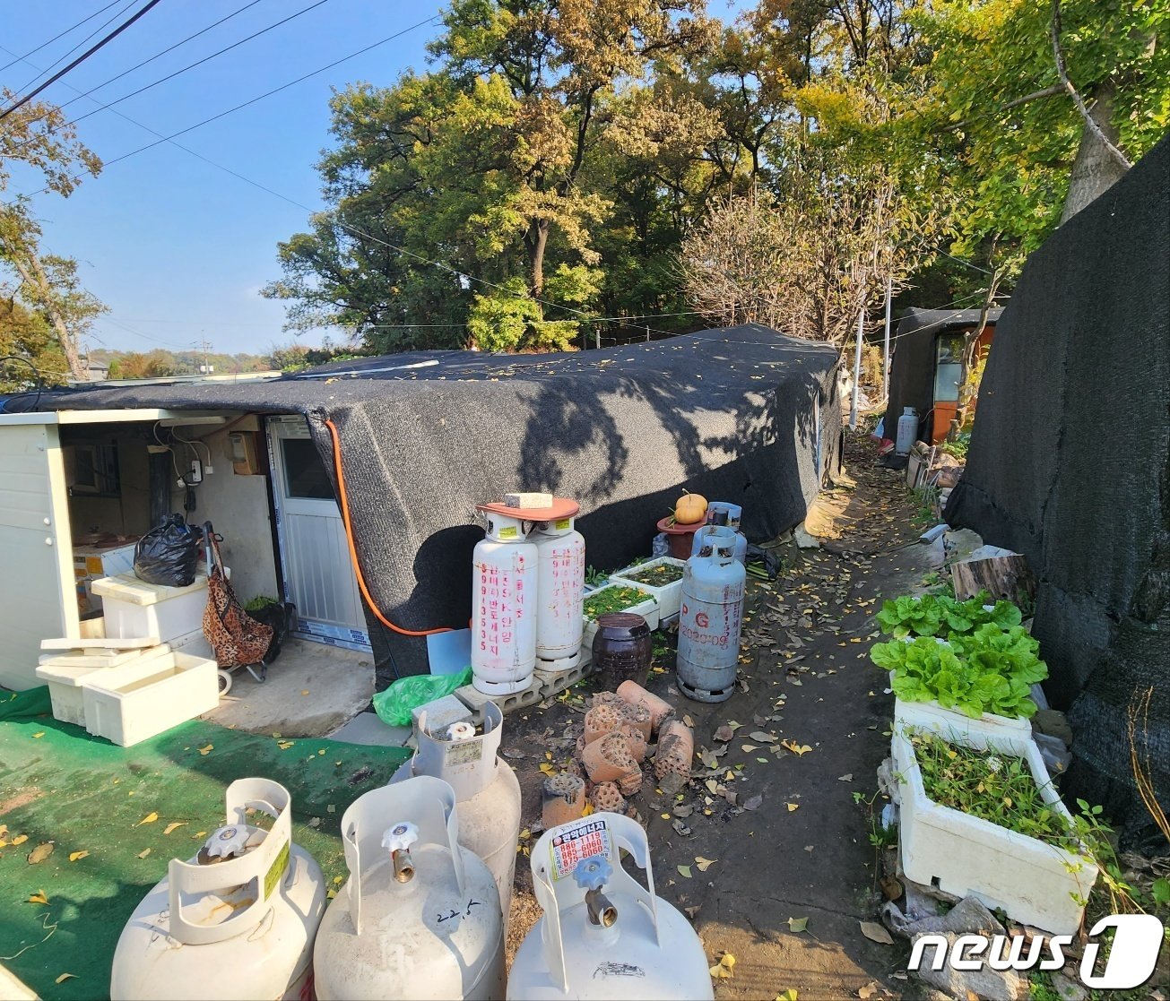 서울 서초구 방배동 전원마을 비닐하우스촌 곳곳에 있는 연탄과 액화석유가스&#40;LPG&#41;통 2023.11.2/뉴스1 ⓒ News1 유민주 기자