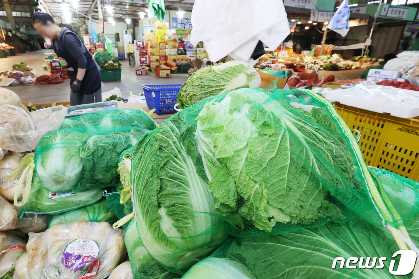 (서울=뉴스1) 민경석 기자 = 정부가 김장재료 수급안정 대책을 시행한 직후 배추 등 재료들의 가격이 큰 폭으로 하락했다.한국농수산식품유통공사(aT)에 따르면 지난 2일 기준 고랭 …