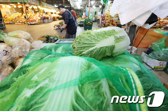 큰 폭으로 하락한 배추 가격