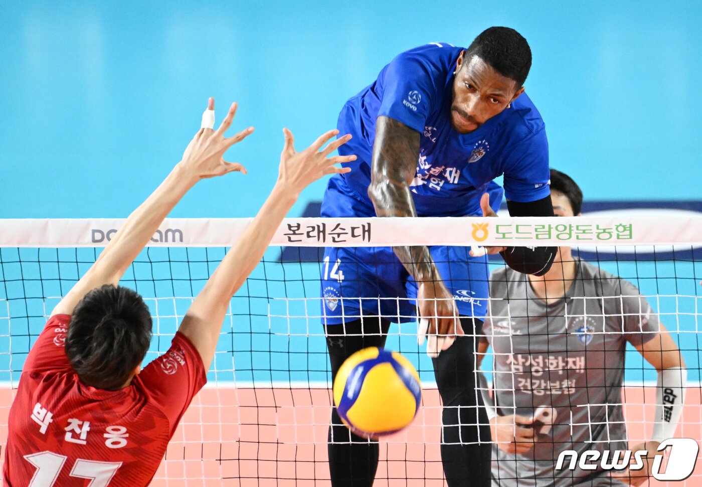 본문 이미지 - 남자부 선두인 삼성화재 블루팡스 &#40;한국배구연맹 제공&#41;