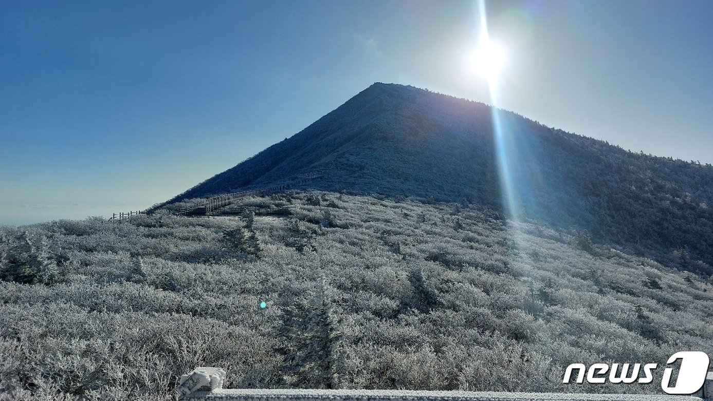 본문 이미지 - 강원 산지를 중심으로 한파특보가 발효된 7일 설악산 고지대에 피어난 상고대가 탐방객의 시선을 끌고 있다. (설악산국립공원사무소 제공) 2023.11.7/뉴스1 ⓒ News1 윤왕근 기자