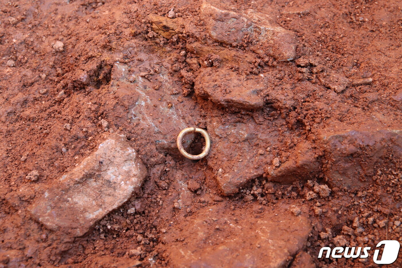 전북 고창군이 마한시대의 무덤인 ‘고창 봉덕리 봉덕고분’ 발굴과 관련해 7일 현장을 공개했다. 무덤에서 발굴된 금동귀거리&#40;고창군 제공&#41;2023.11.7/뉴스1 