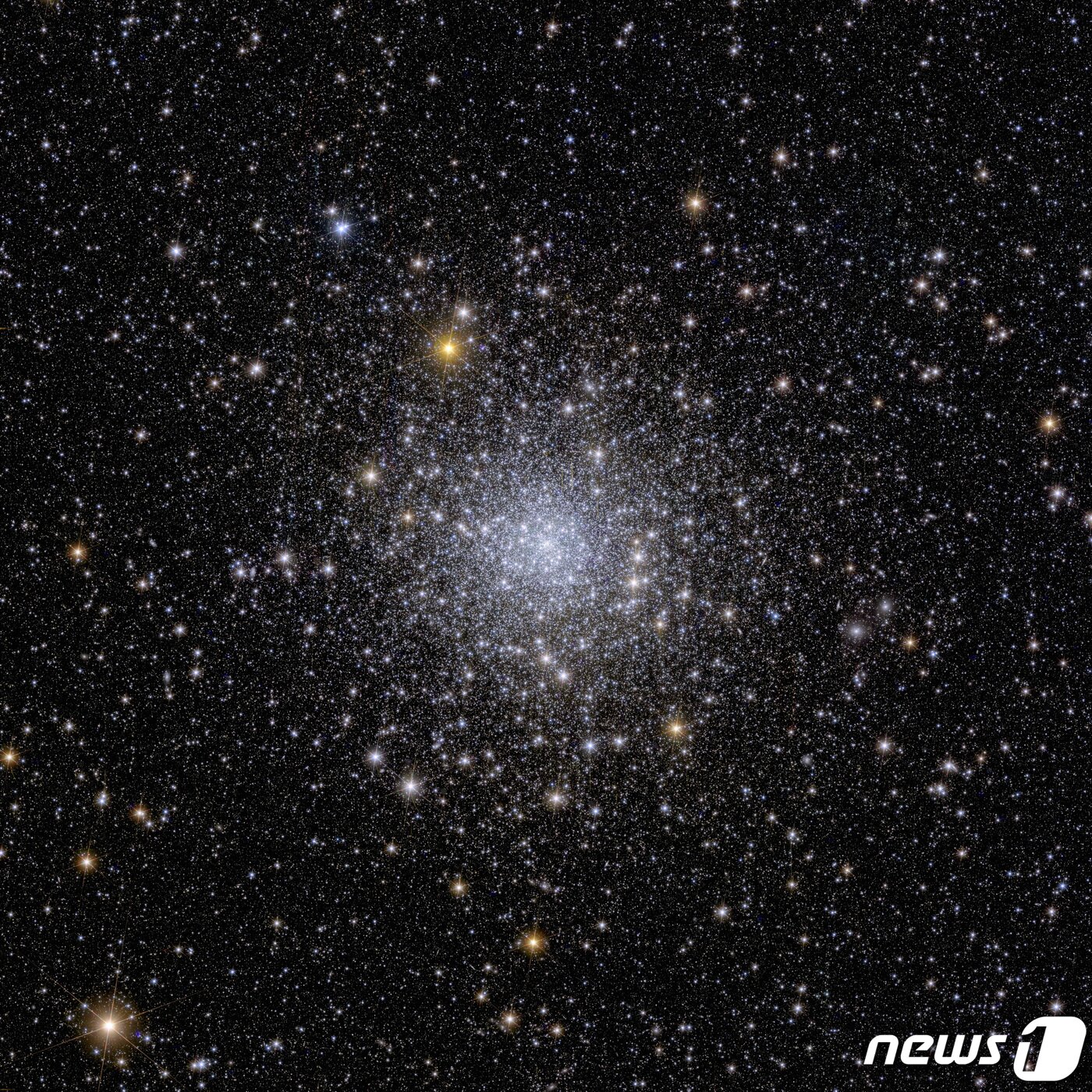 본문 이미지 - 구상성단. ⓒ 로이터=뉴스1 ⓒ News1 박형기 기자