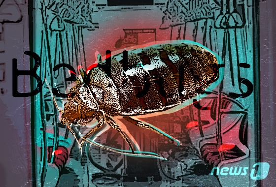 "휴가 가는 비행기서 빈대 물렸다"…항공사에 3억 손해배상 소송