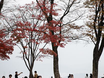 [오늘의 날씨] 충북·세종(14일, 토)…흐리고 최대 40㎜ 소나기