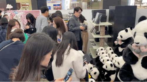 본문 이미지 - 9일 서울 여의도 더현대 서울에 열린 푸바오 팝업 스토어 '푸바오의 행복한 집' 개장 첫날 수십명의 사람이 팝업스토어를 관람하는 모습. 2023.11.09/뉴스1 ⓒ News1 한지명 기자