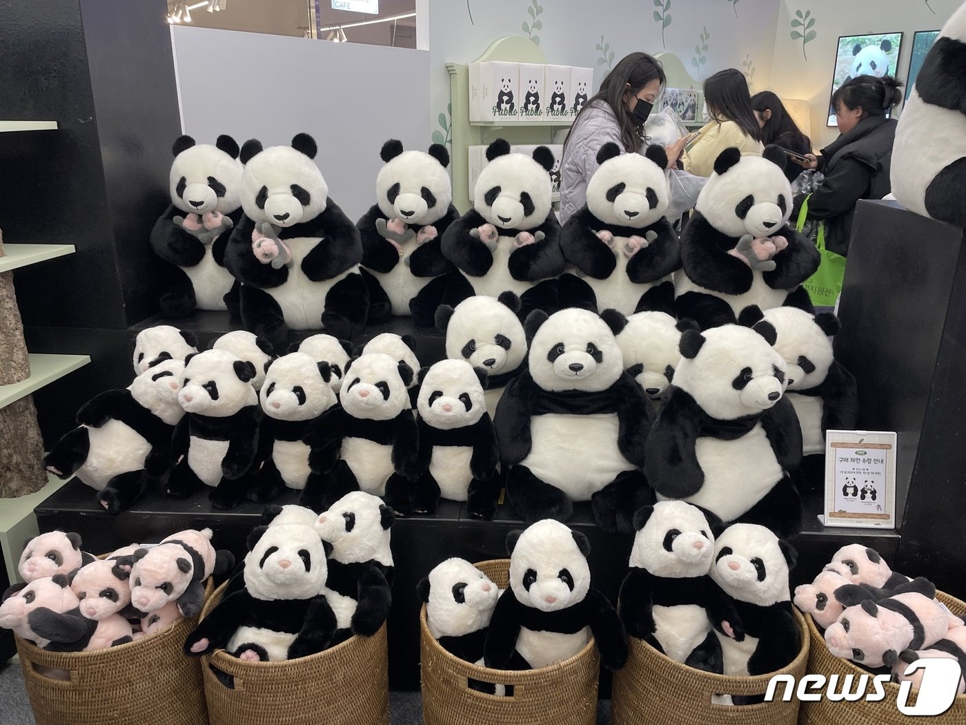 본문 이미지 - 9일 서울 여의도 더현대 서울에 열린 푸바오 팝업 스토어 '푸바오의 행복한 집' 개장 첫날 푸바오 굿즈를 판매하고 있다.. 2023.11.09/뉴스1 ⓒ News1 한지명 기자