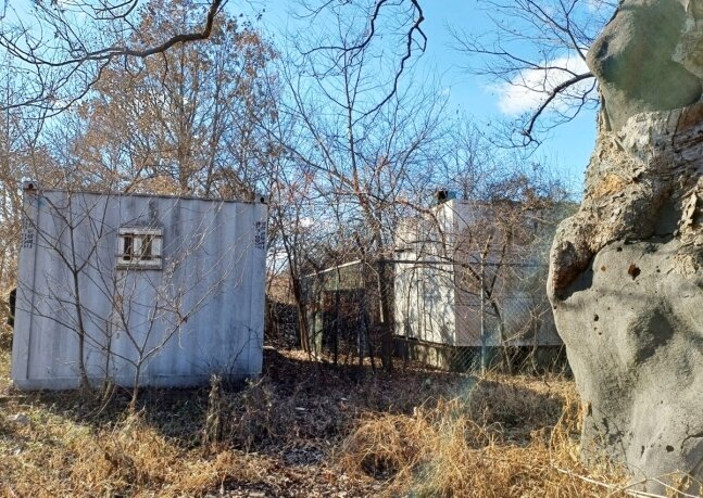 본문 이미지 -  세종동 무궁화공원 인근 보호수(수령 190년 느티나무 2개)에 설치된 콘테이너