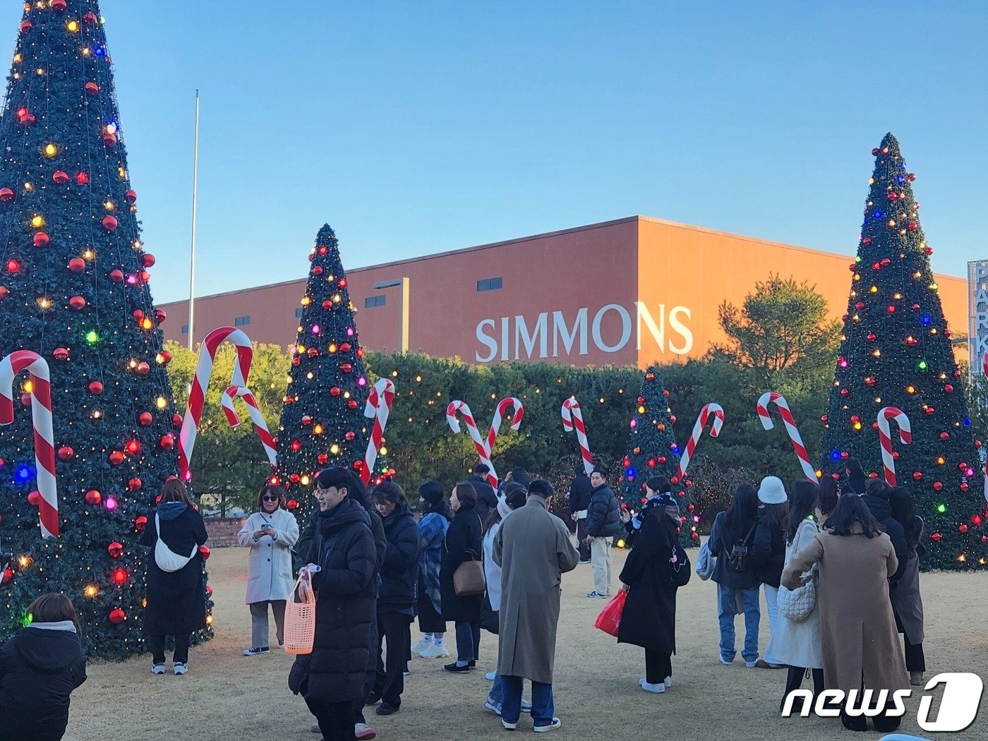 본문 이미지 - 경기도 이천 시몬스 테라스에 설치된 대형 크리스마스 트리 2023.12.1/뉴스1  ⓒ News1 이정후 기자