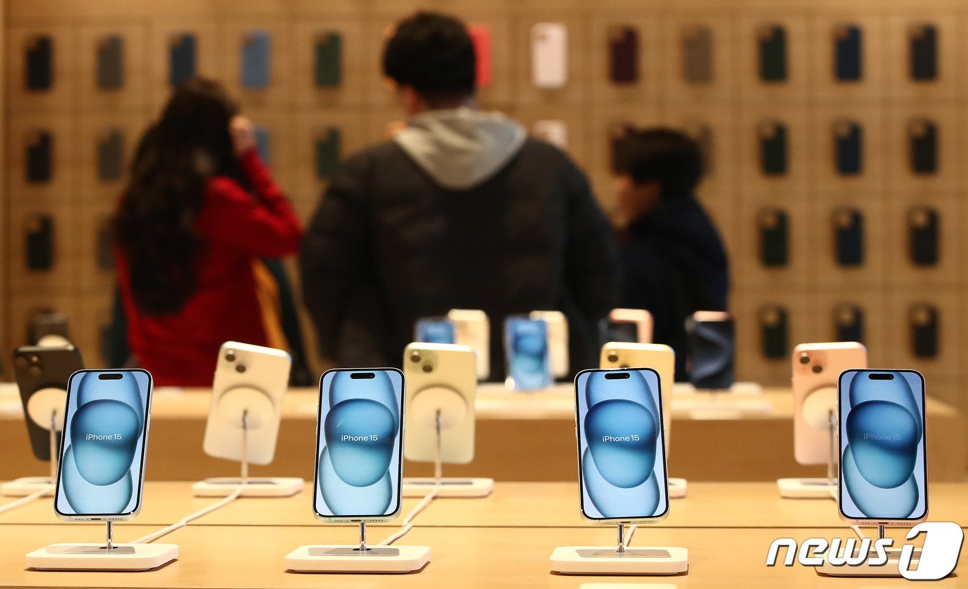 본문 이미지 - '애플 하남'에 전시된 아이폰 15 시리즈. 2023.12.10/뉴스1 ⓒ News1 박세연 기자