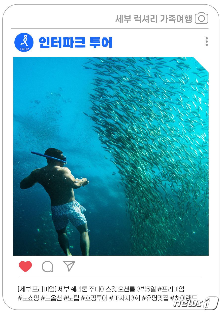 본문 이미지 - 인터파크 트리플이 선보이는 세부 프리미엄 여행(필리핀 관광부 제공)