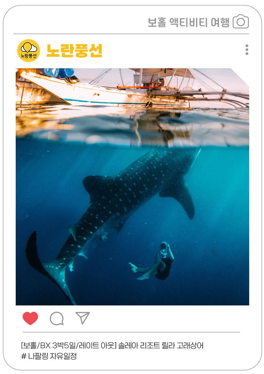 본문 이미지 - 노랑풍선에서 선보이는 릴라 고래상어 투어(필리핀 관광부 제공)