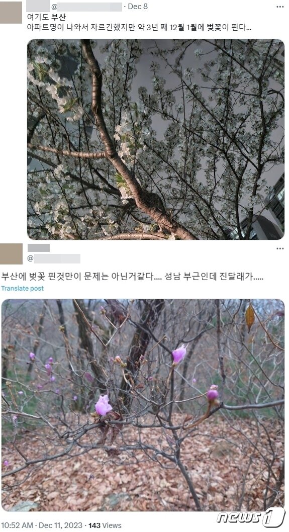 본문 이미지 - (X(옛 트위터) 갈무리) /뉴스1