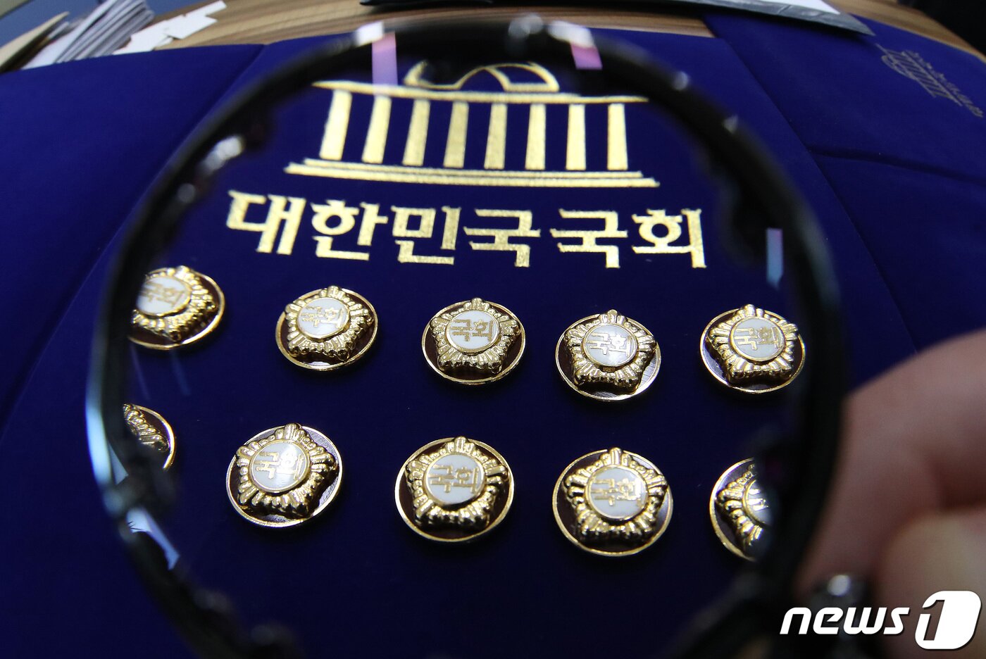 본문 이미지 - 국회의원 배지 ⓒ News1 임세영 기자