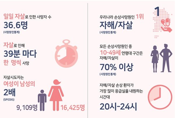 본문 이미지 - 질병청 제공