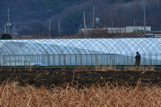 "여기 공단 들어선대"…대구서 투기성 '무늬만 농지' 의심 사례 잇따라