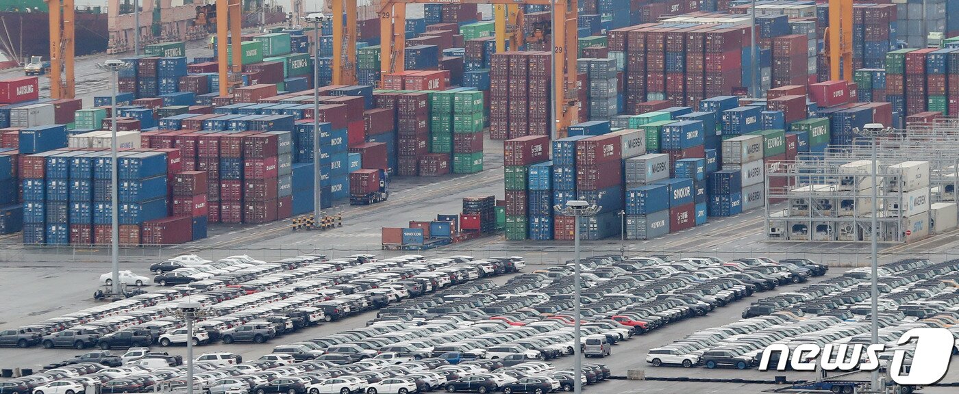 본문 이미지 - 경기 평택시 포승읍 평택항 수출 야적장에 수출용 차량들이 주차돼 있다.  2023.12.14/뉴스1 ⓒ News1 김영운 기자