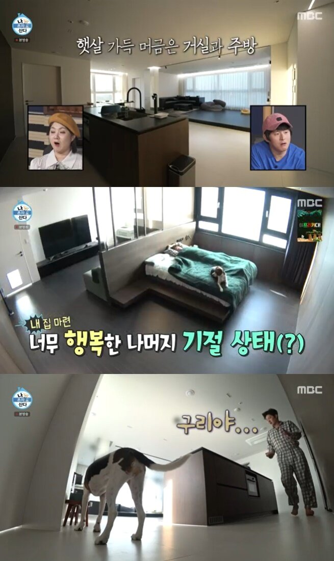 본문 이미지 - MBC '나 혼자 산다' 캡처