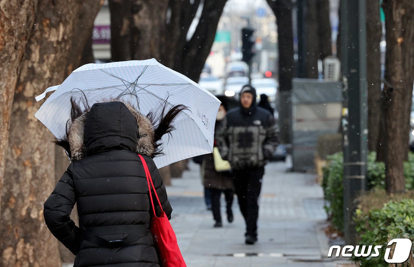 밤사이 기온이 떨어지며 영하권 날씨를 보인 16일 오전 서울 종로구 종로에 강풍과 함께 눈이 내리고 있다. 기상청은 기온이 점차 떨어져 17일부터 영하10도 이하의 강추위가 이어질 것이라고 예보했다. 2023.12.16/뉴스1 ⓒ News1 장수영 기자