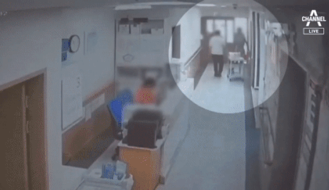 본문 이미지 - (채널A 갈무리)