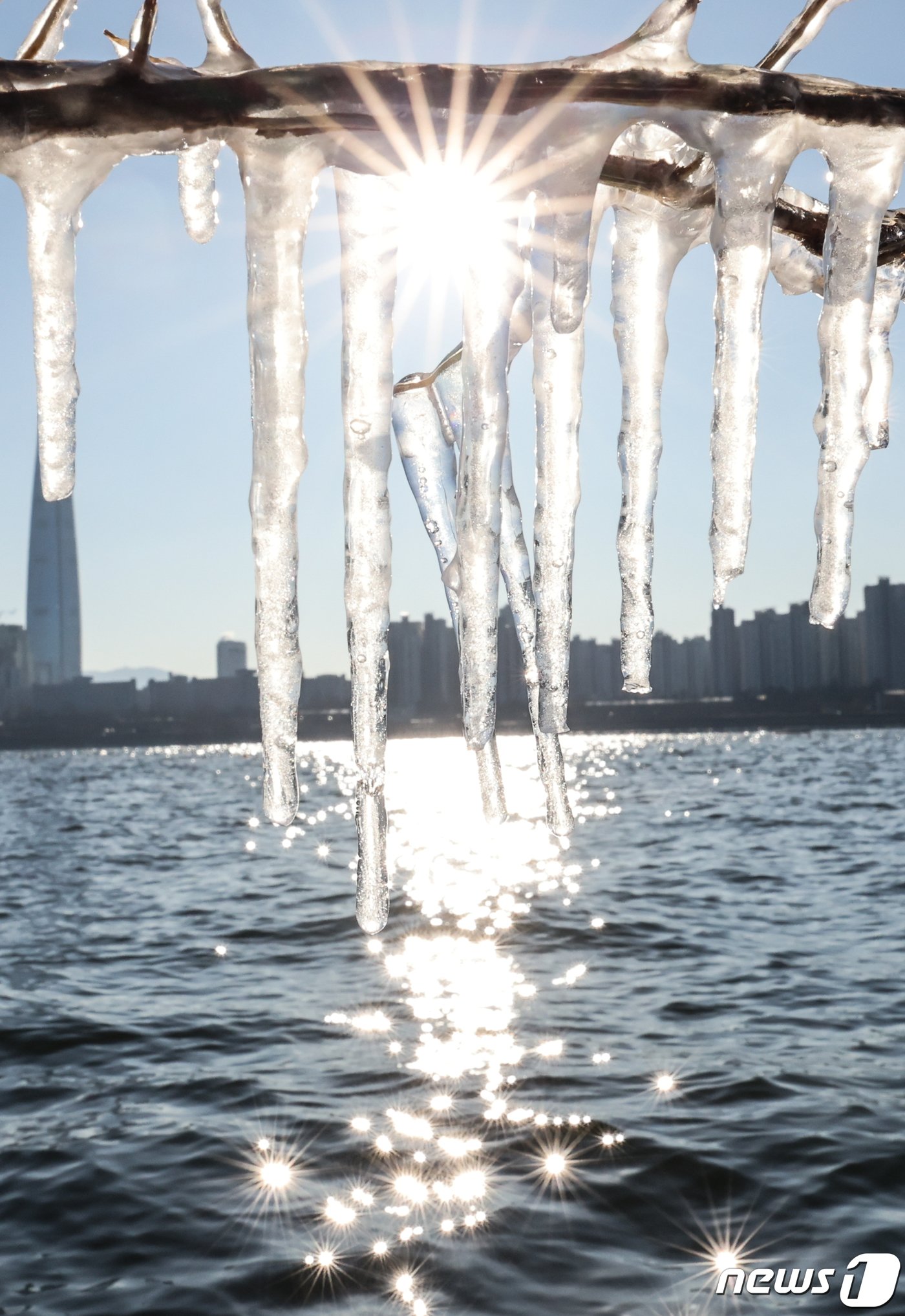 본문 이미지 - 서울의 아침 기온이 영하 12도로 올겨울 들어 가장 추운 날씨를 기록한 17일 서울 광진구 뚝섬한강공원 주변 나뭇가지에 고드름이 매달려 있다. 2023.12.17/뉴스1 ⓒ News1 허경 기자