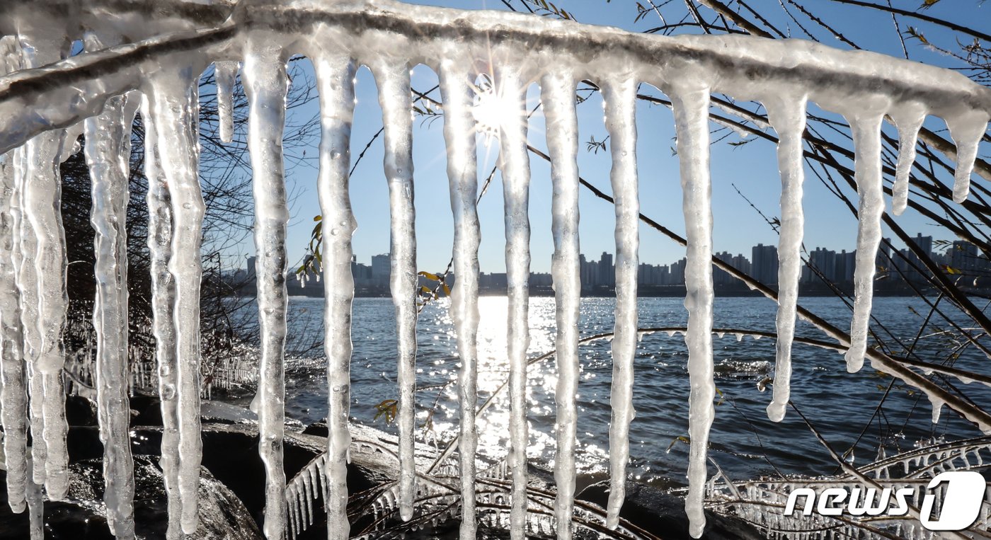 본문 이미지 - 서울의 아침 기온이 영하 12도로 올겨울 들어 가장 추운 날씨를 기록한 17일 서울 광진구 뚝섬한강공원 주변 나뭇가지에 고드름이 매달려 있다. 2023.12.17/뉴스1 ⓒ News1 허경 기자