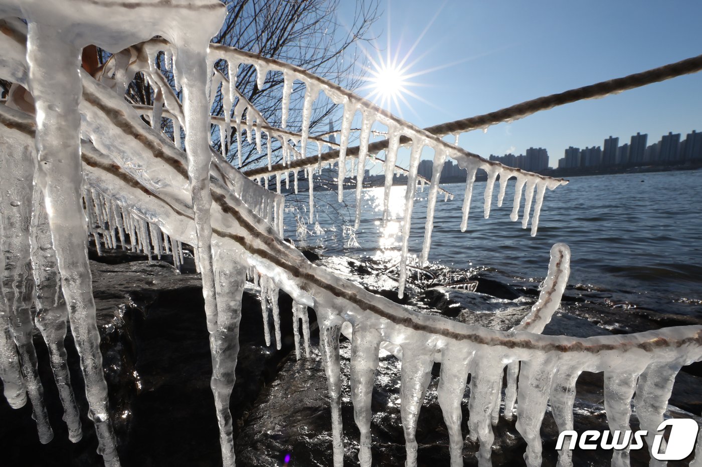 본문 이미지 - 서울의 아침 기온이 영하 12도로 올겨울 들어 가장 추운 날씨를 기록한 17일 서울 광진구 뚝섬한강공원 주변 나뭇가지에 고드름이 매달려 있다. 2023.12.17/뉴스1 ⓒ News1 허경 기자