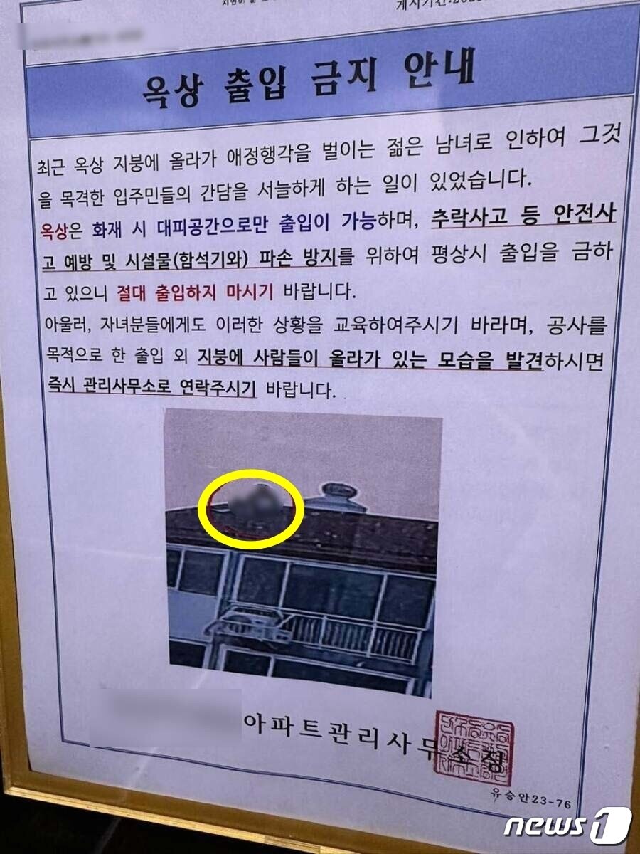 본문 이미지 - (온라인 커뮤니티 갈무리)